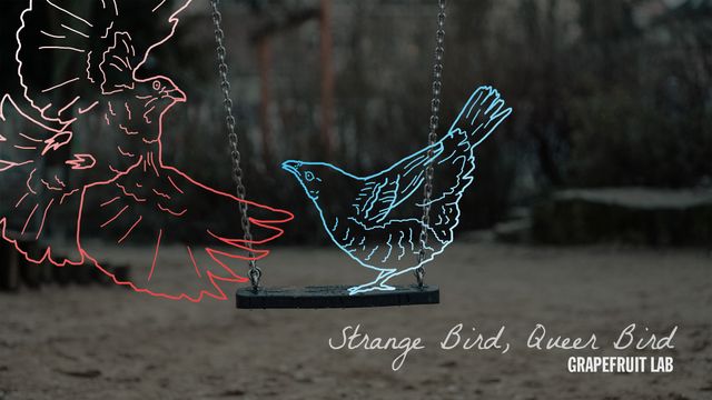 A red bird and blue bird drawn over the photo of an empty playground swing
