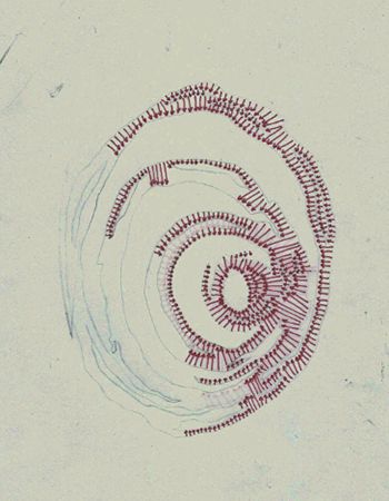 Red arrow negative-space contours of a coffee stain