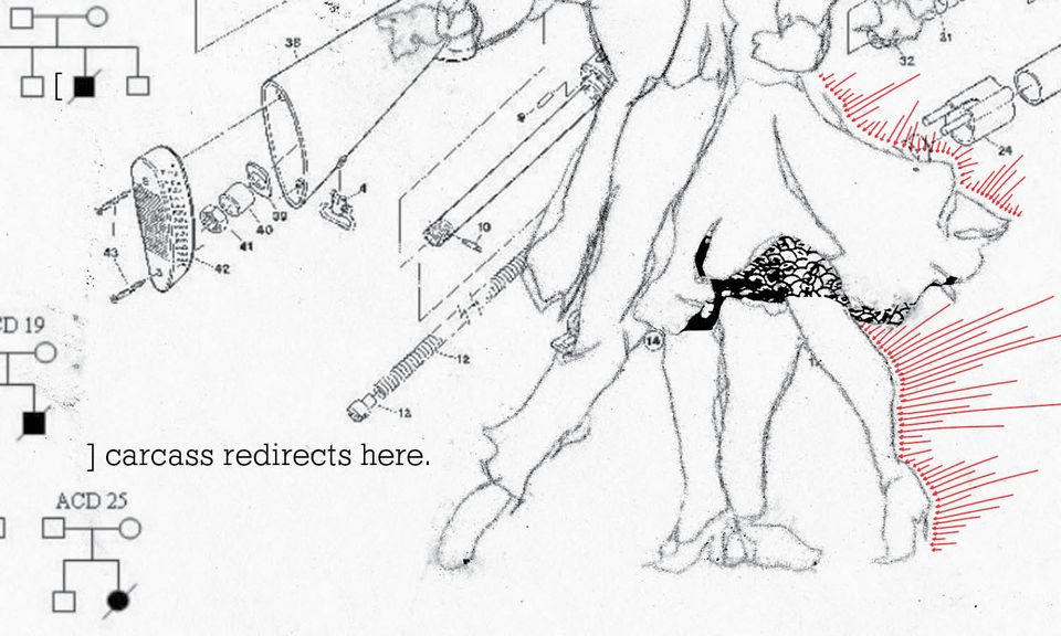 Sketch of a couple dancing
over diagrams of a rifle and genetic charts
with red arrows
and text that says