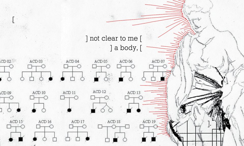 Sketch of Hermaphroditus lifting her skirt,
in a collage of genetic diagrams and wings,
with red arrows
and text that says