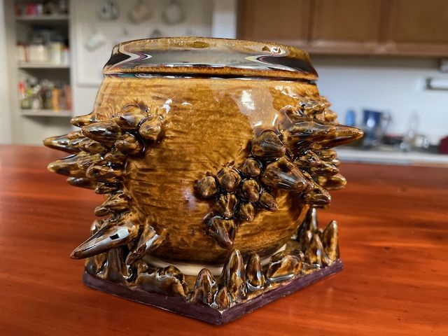 Small round flower pot covered in spikes off the side like organic mountain ranges, glazed in a streaked brown that gathers on the spikes and valleys, and on the rim -- set on a hexagon tray with stalagmites protruding around the pot base